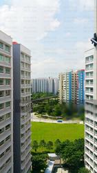 Blk 270A Sengkang Central (Sengkang), HDB 4 Rooms #124334762